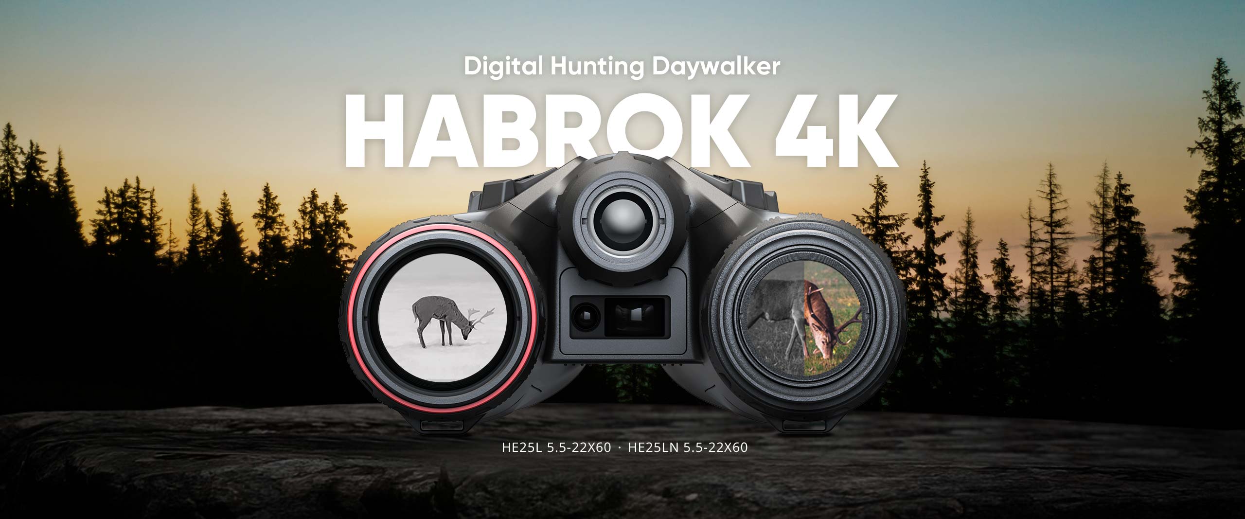 HABROK 4K Banner_Website
