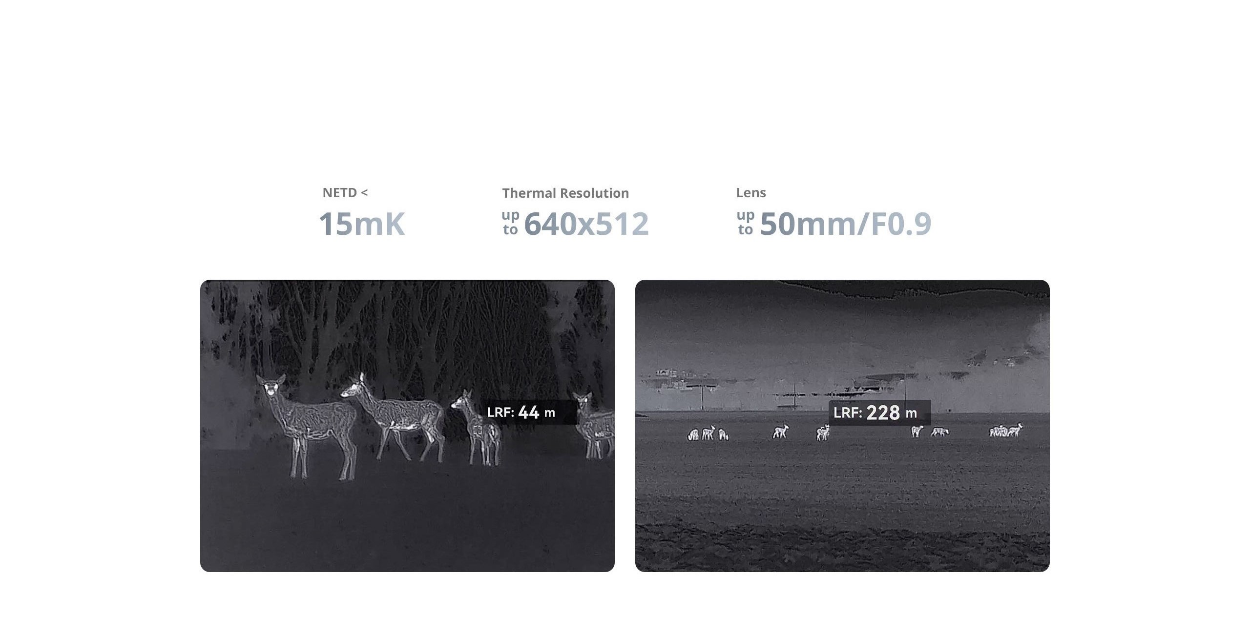 HIKMICRO_Thermal-Monocular_CONDOR-2.0_NETD＜15mK_animal-detected-through-15mK-high-thermal-sensitivity_PC